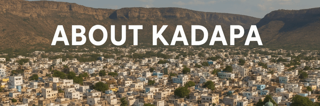 polotno 2025 11 07t210037.433