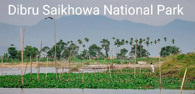 Dibru Saikhowa National Park